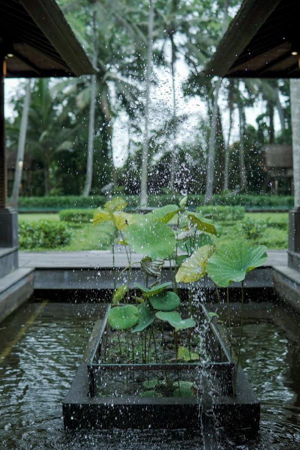 Villa Puri Tupai Ubud Extérieur photo